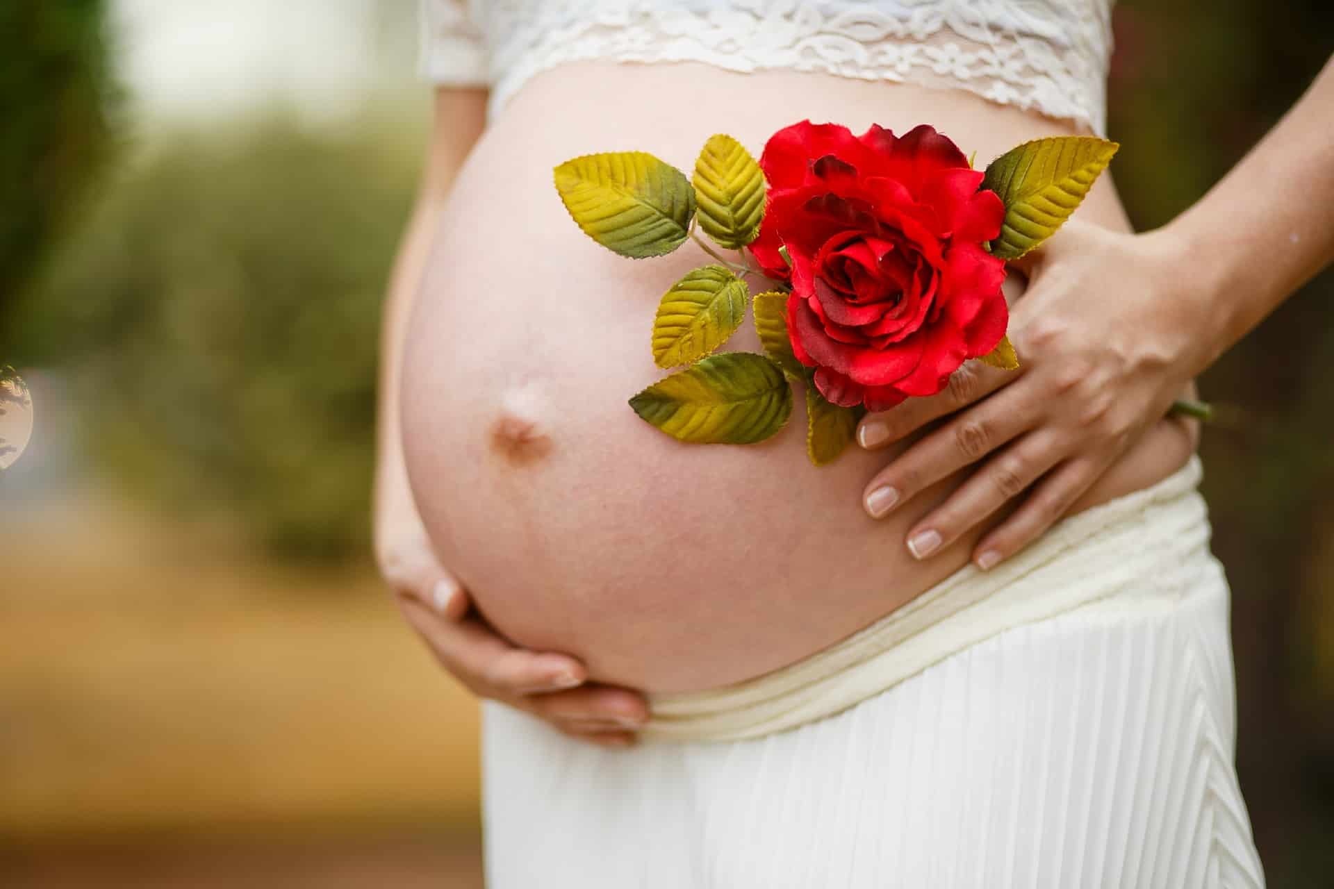 Pregnant woman holding a rose, emphasizing the importance of nutrition during pregnancy.